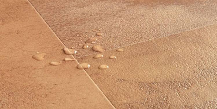 ΠΊΠ²ΠΈΠΊ ΡΡΠ΅ΠΏ ΠΌΡΠ·Π°.jpg?lang=ru